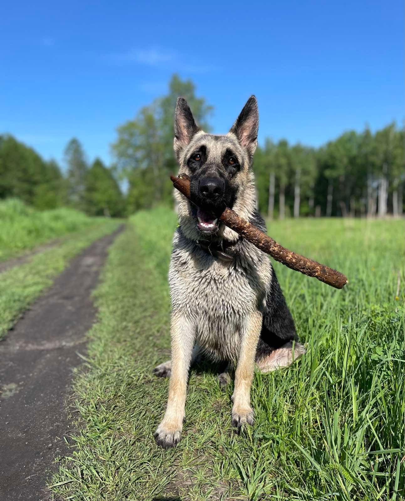 Фото из галереи