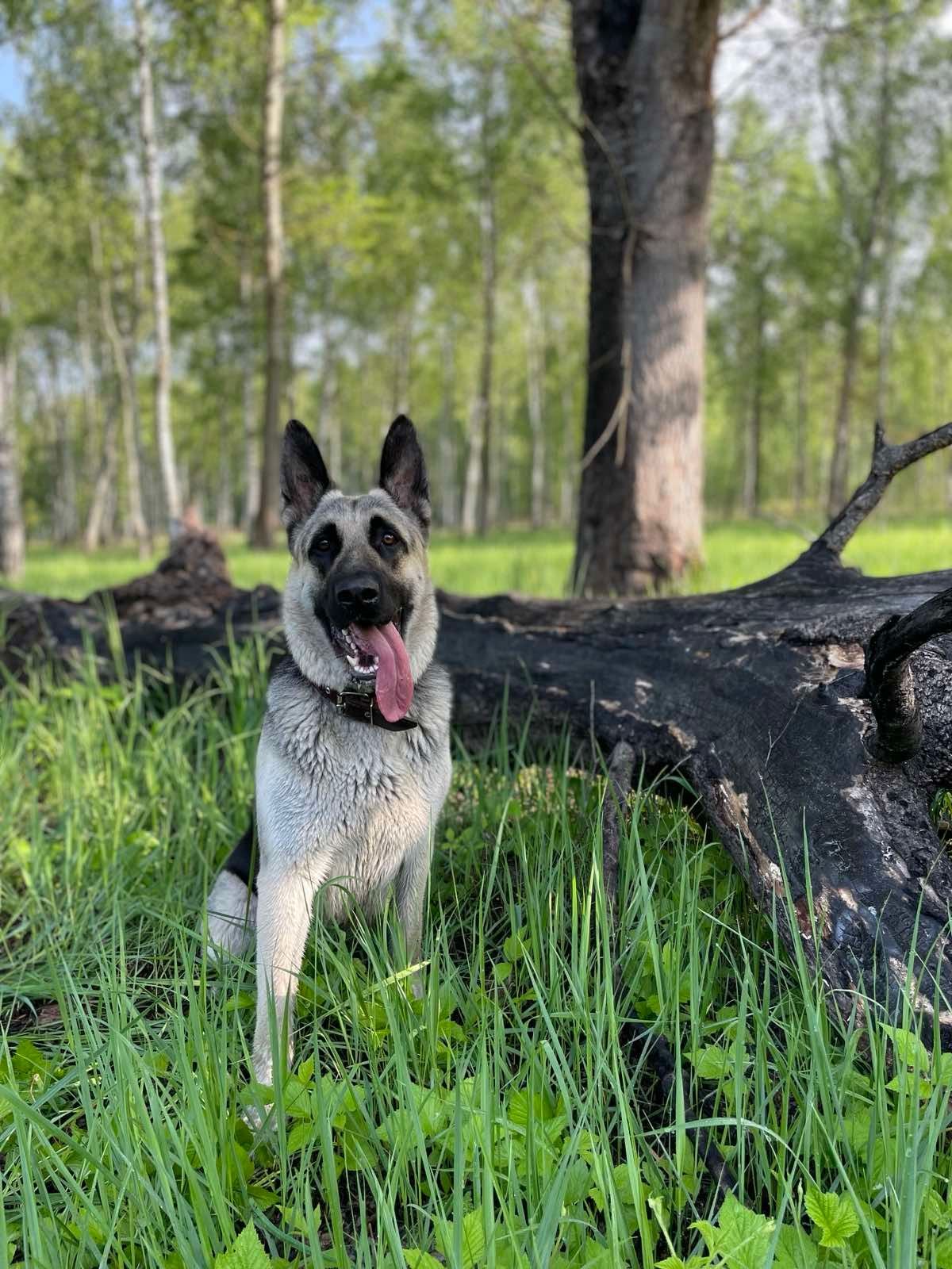 Фото из галереи