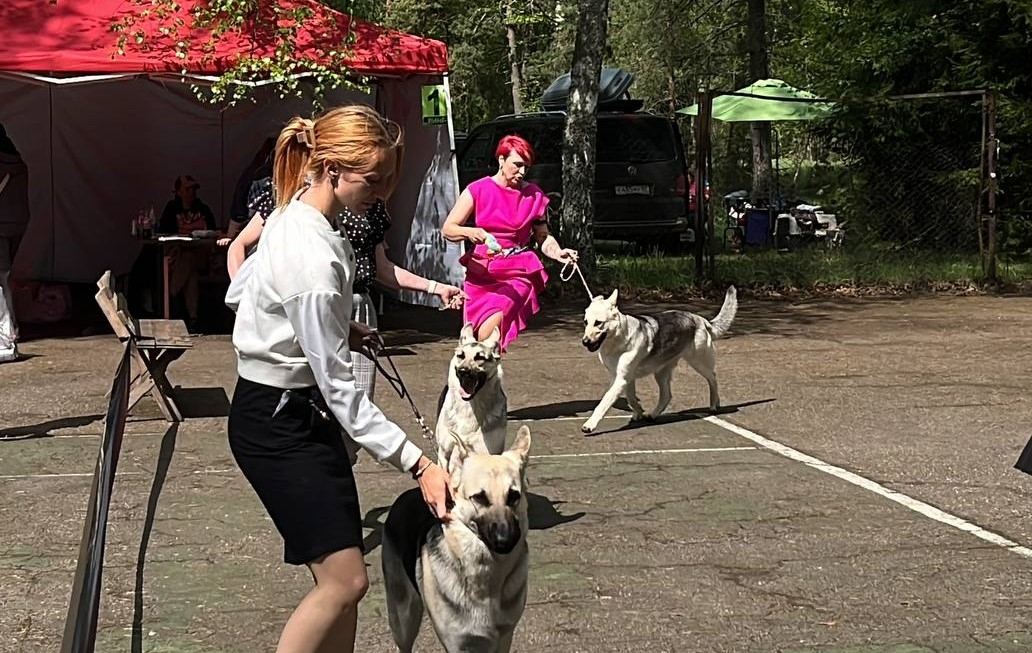 Фото новости